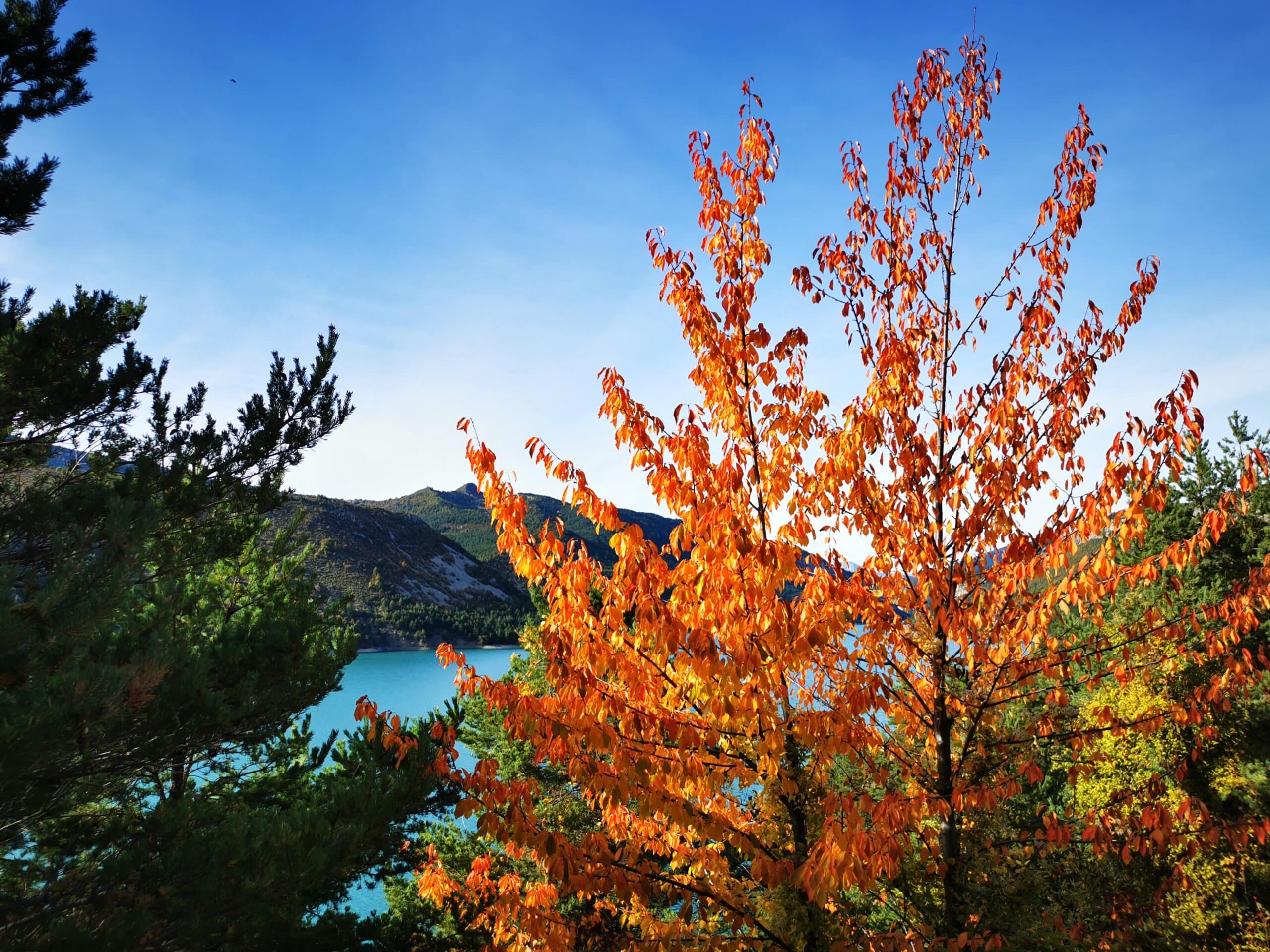 visiter les gorges du verdon en septembre
